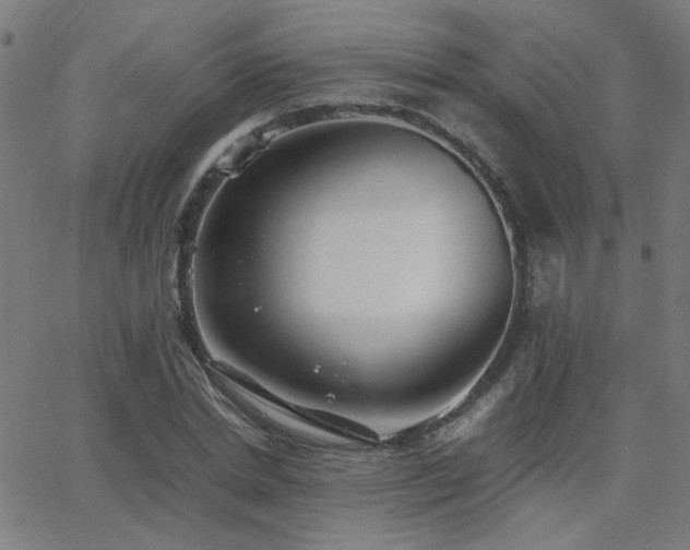 X0000062850830200601131347