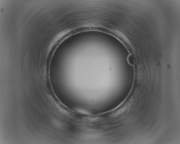 X0000062850831200601131347