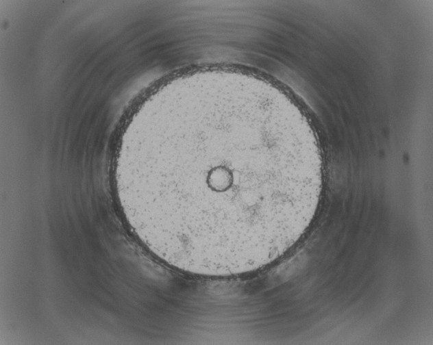 X0000062850832200601131347