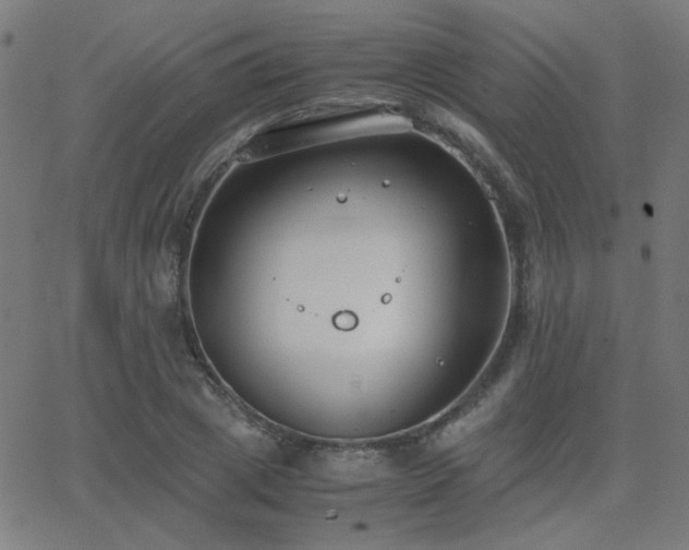 X0000062850833200601131347