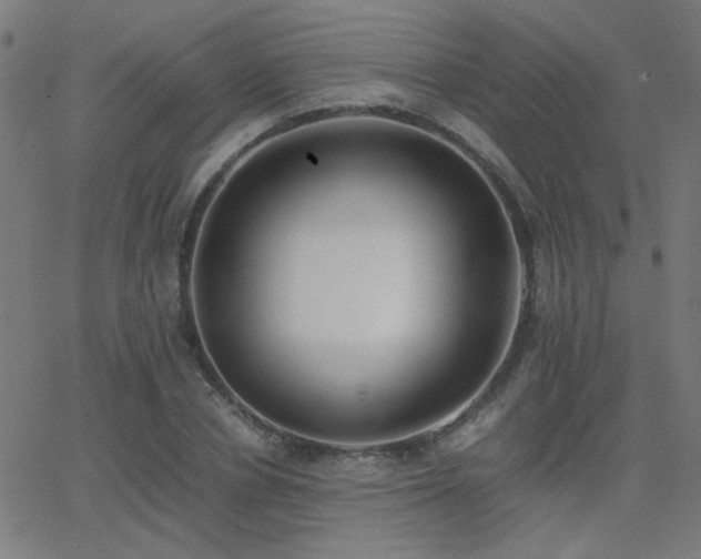 X0000062850834200601131347