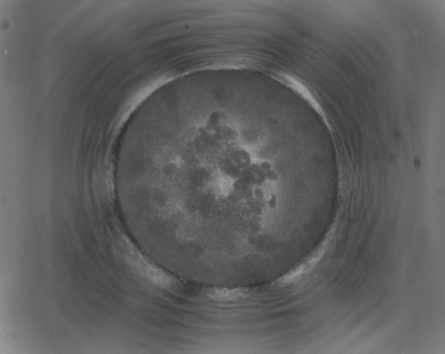 X0000062850835200601131347