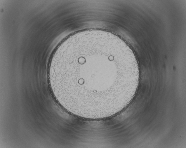 X0000062850836200601131347