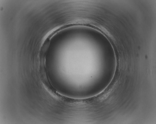 X0000062850838200601131348