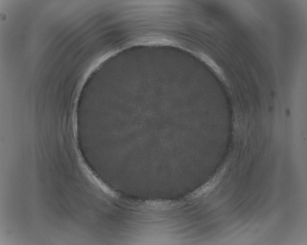 X0000062850840200601131348