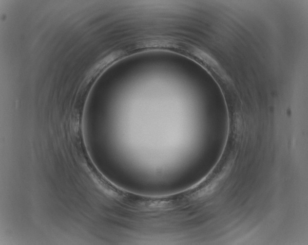 X0000062850841200601131348