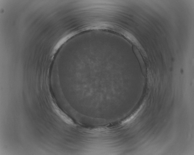 X0000062850842200601131348