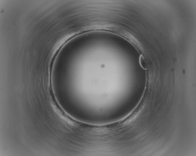 X0000062850844200601131348