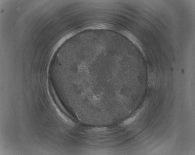 X0000062850845200601131348