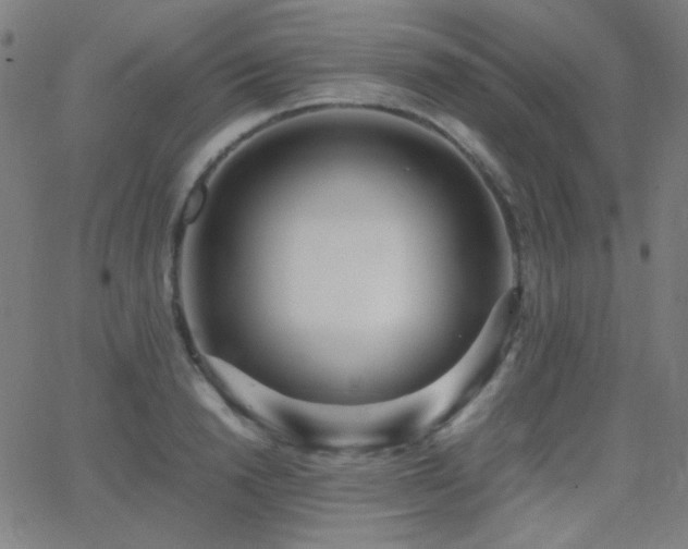 X0000062850846200601131348