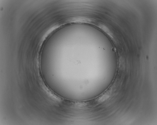 X0000062850848200601131348