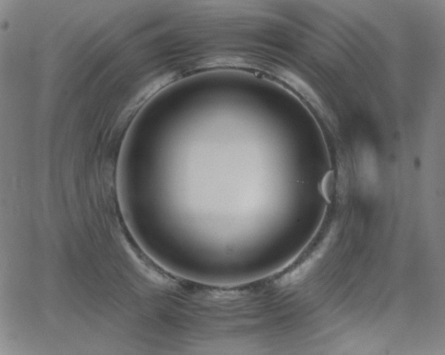 X0000062850849200601131348