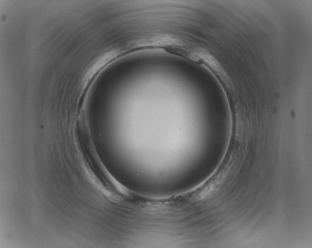 X0000062850850200601131348