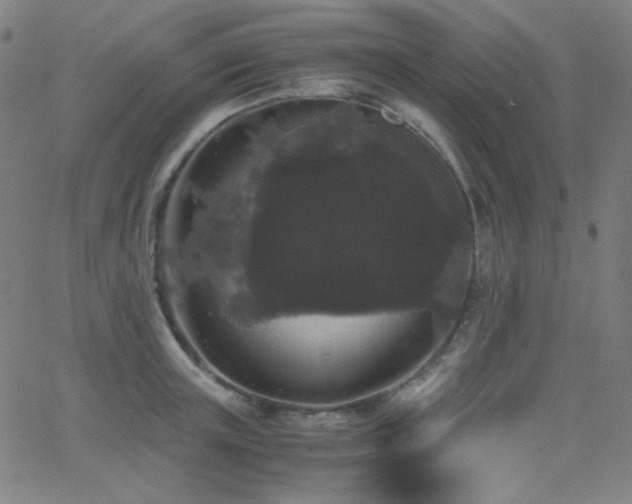 X0000062850851200601131348