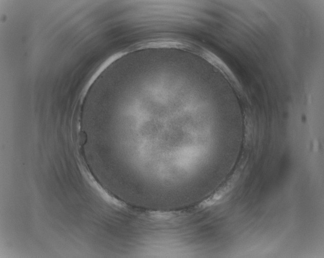 X0000062850852200601131348