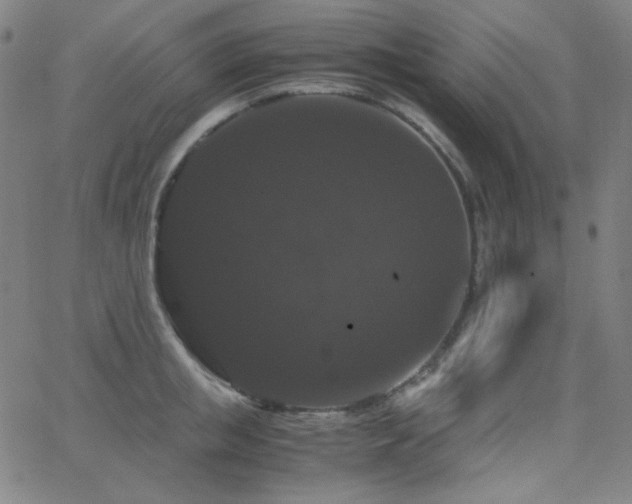 X0000062850853200601131348