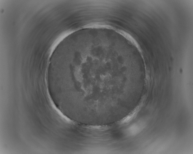 X0000062850855200601131348