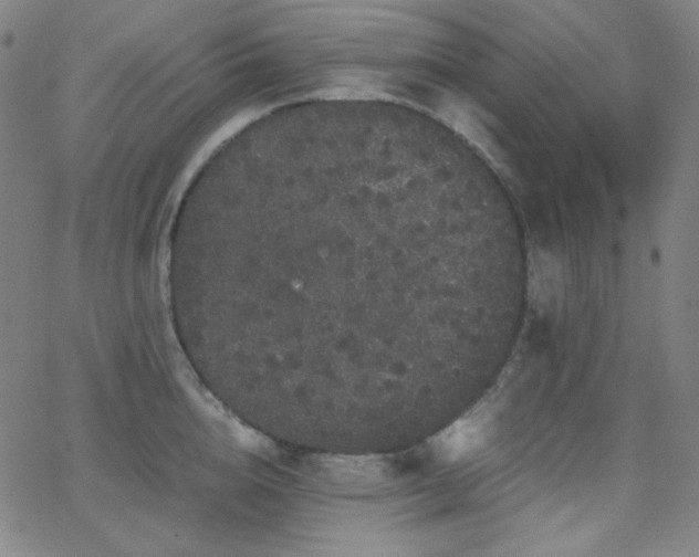 X0000062850856200601131348