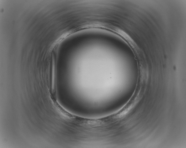 X0000062850857200601131348