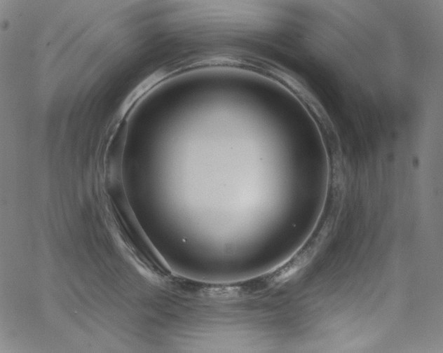 X0000062850858200601131348