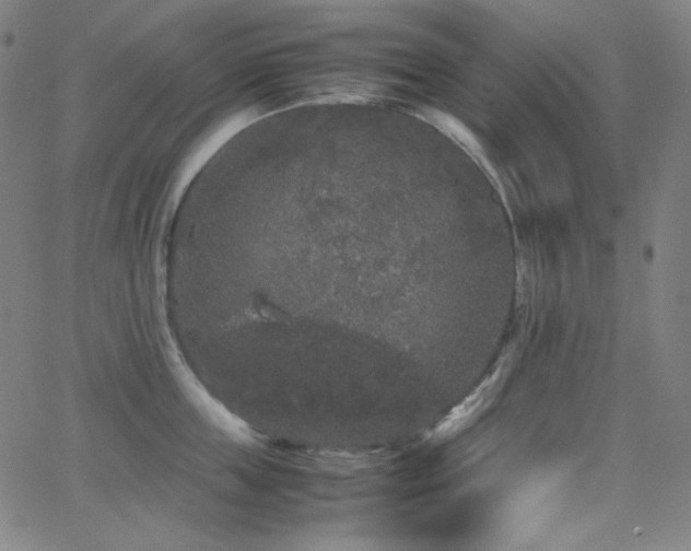 X0000062850859200601131348