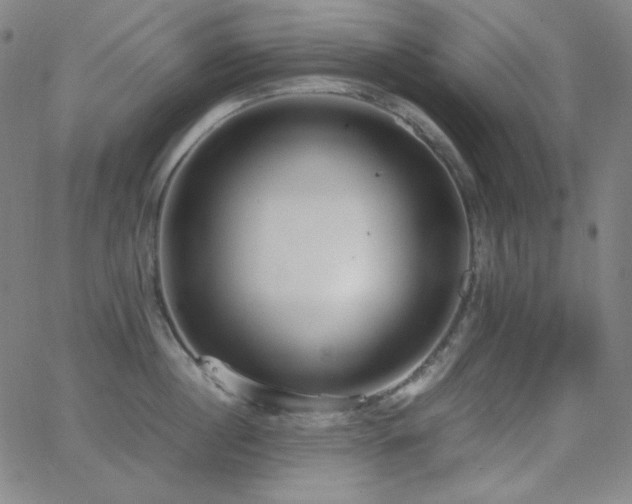 X0000062850860200601131348