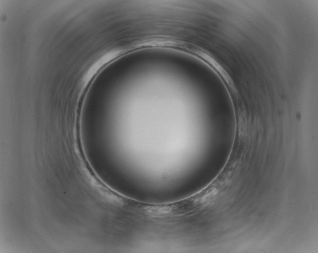 X0000062850861200601131348