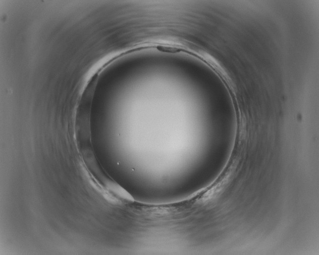 X0000062850862200601131348