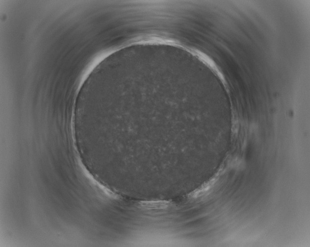 X0000062850863200601131348