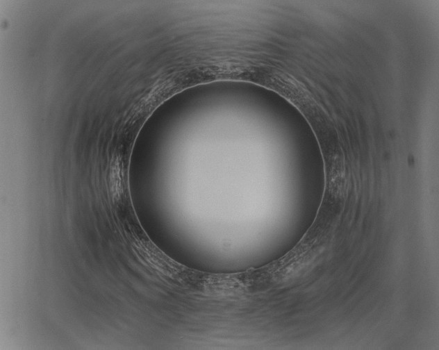 X0000062850866200601131347