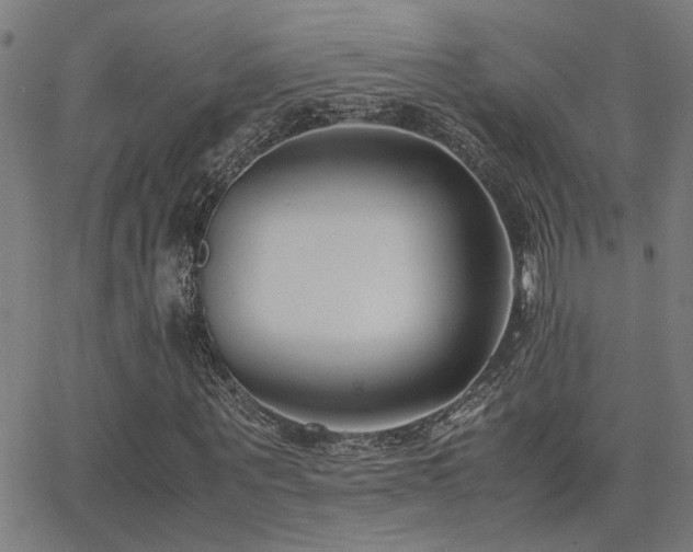 X0000062850867200601131347