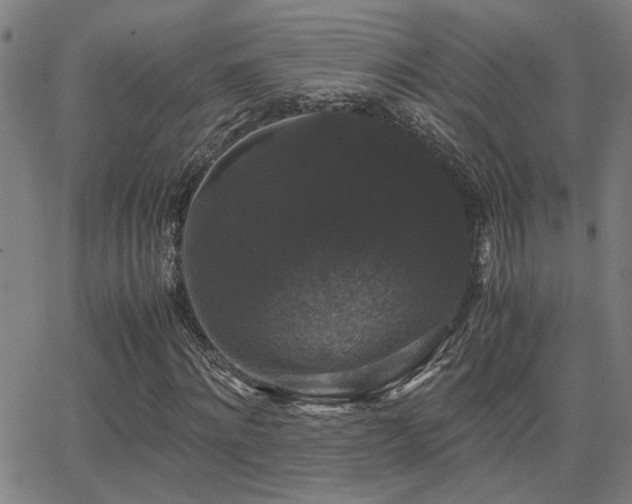 X0000062850868200601131347