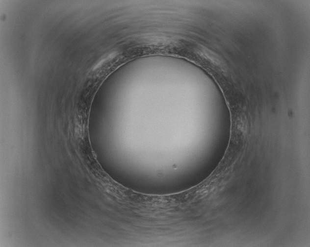 X0000062850869200601131347