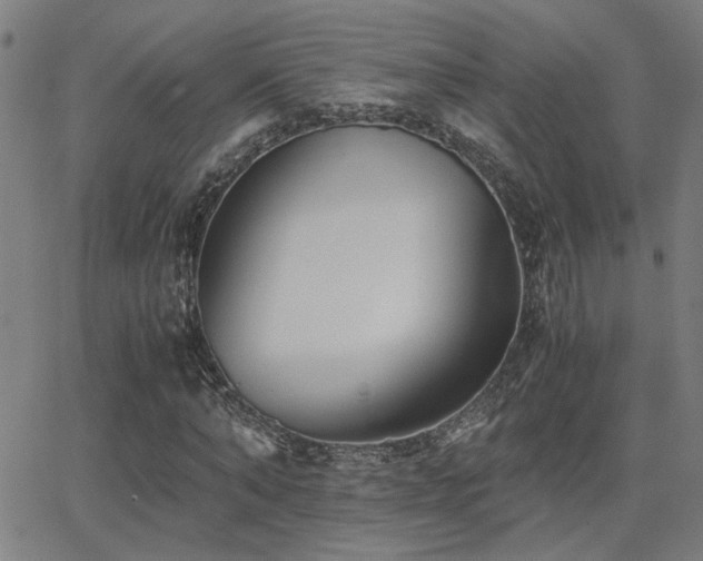 X0000062850870200601131347