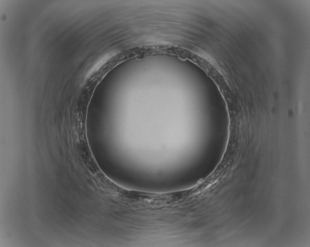 X0000062850871200601131347