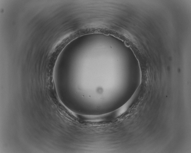 X0000062850872200601131347