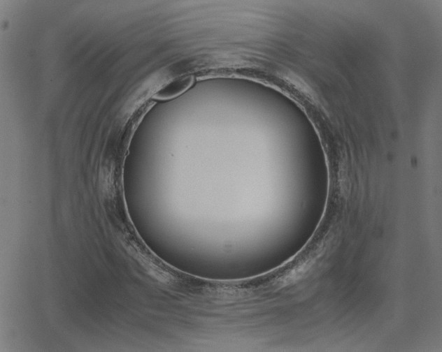 X0000062850873200601131347