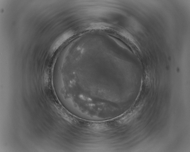 X0000062850874200601131347