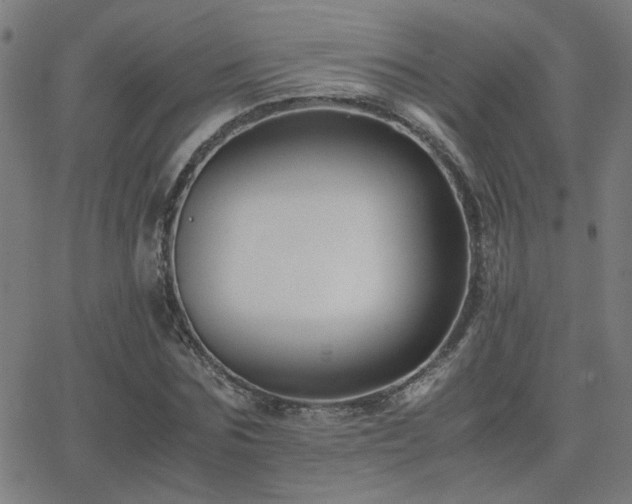 X0000062850875200601131347