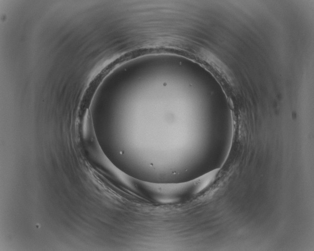 X0000062850876200601131347