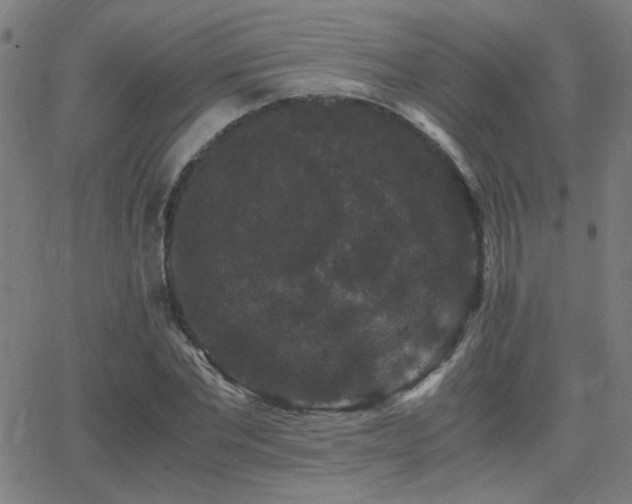 X0000062850877200601131347