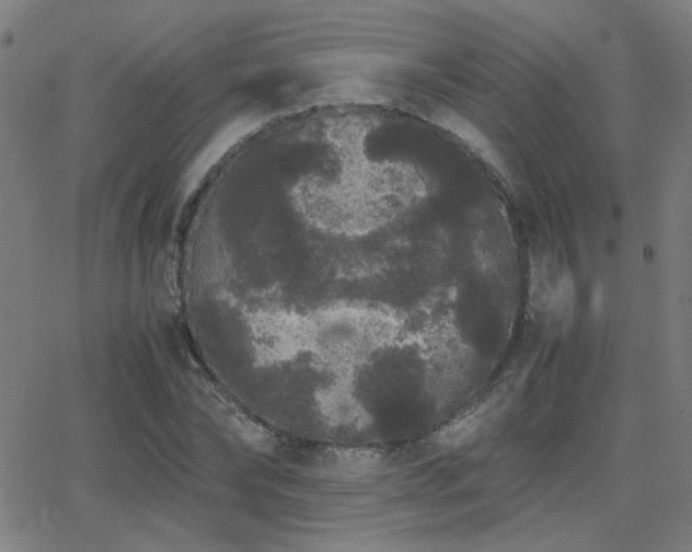 X0000062850878200601131347