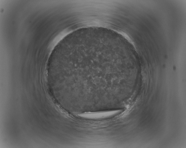 X0000062850879200601131347