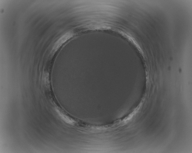 X0000062850881200601131347