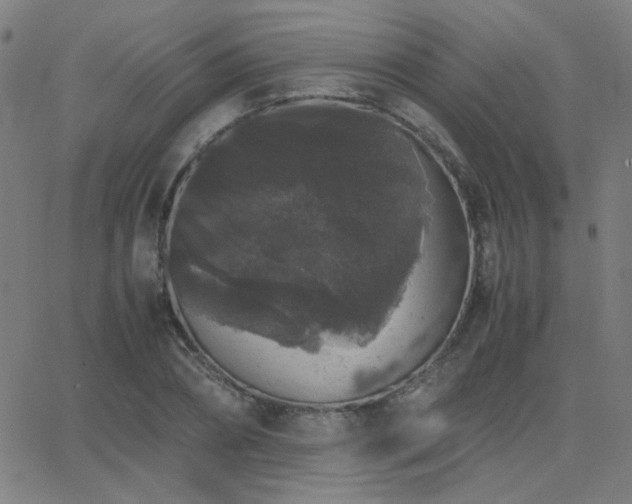 X0000062850882200601131347