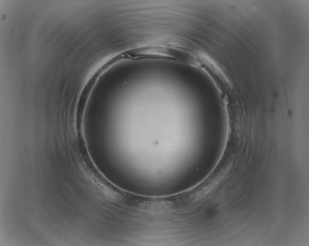 X0000062850884200601131347