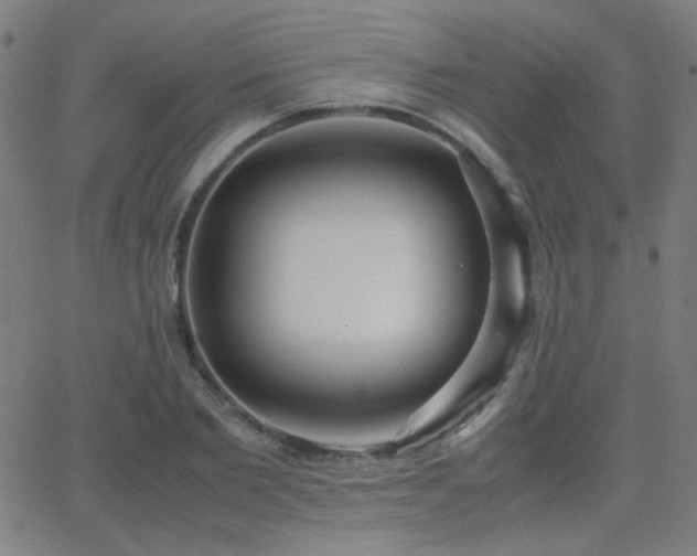 X0000062850885200601131347