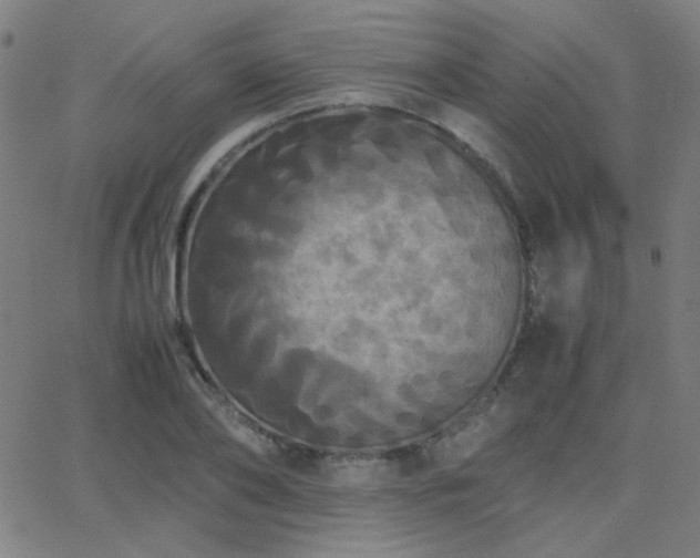 X0000062850886200601131347