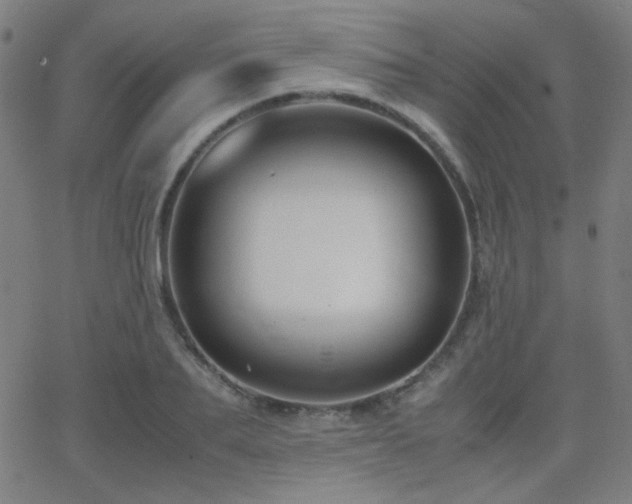 X0000062850887200601131347