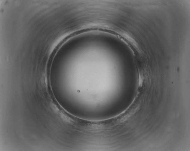 X0000062850888200601131347